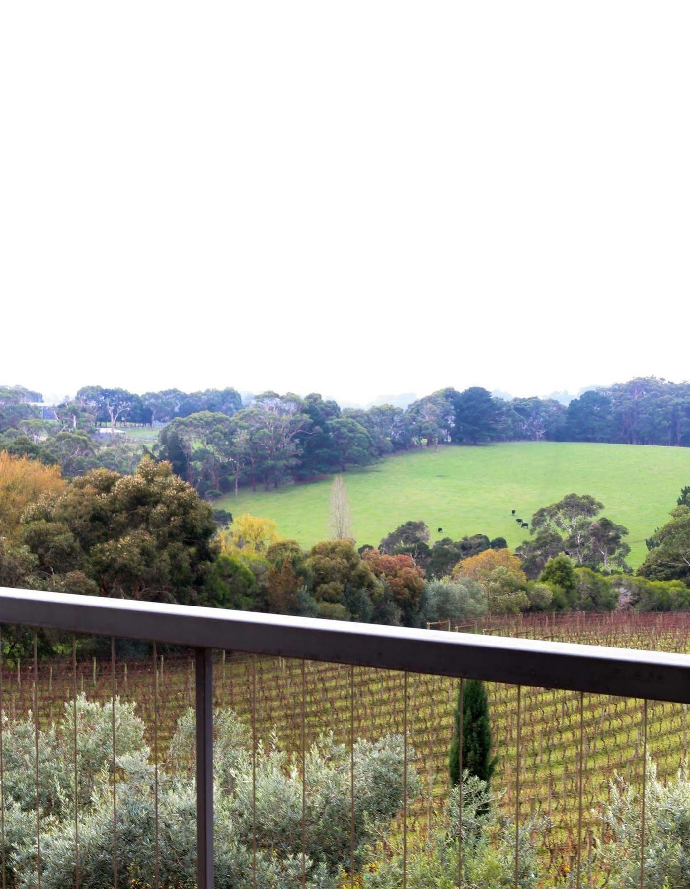 Hotel Morning Sun Vineyard Mornington Peninsula Exterior foto